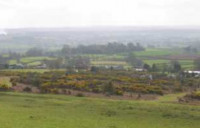 Croft Castle and Bircher Common